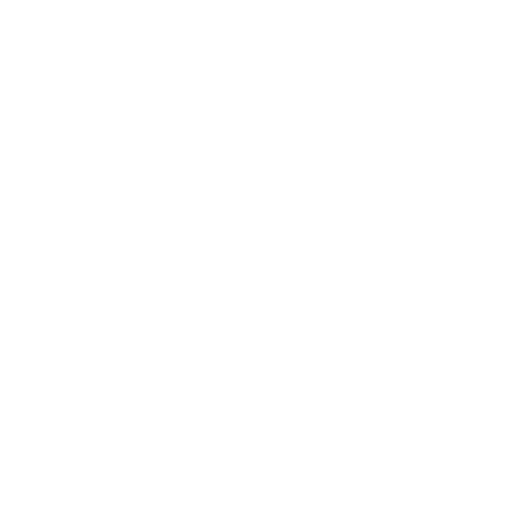icona cameriera personale