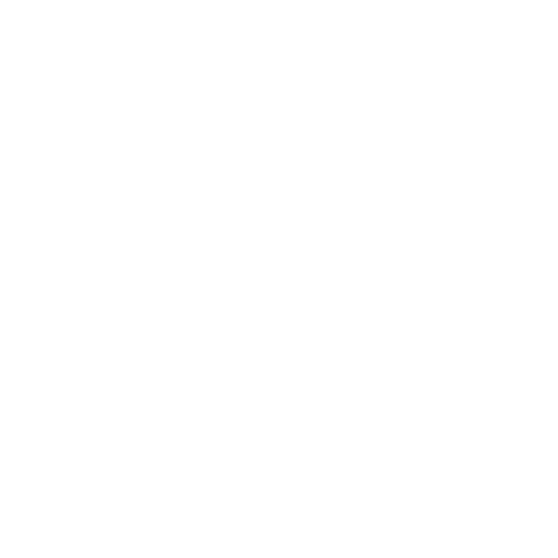 icona domestico tuttofare